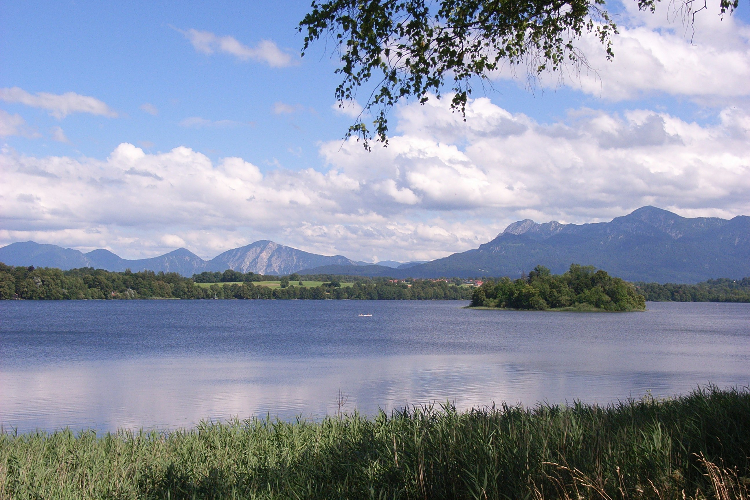 See mit ruhiger Wasseroberfläche, im Vordergrund Gras, dahinter Uferwald und Berge unter wolkigem Himmel.