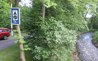 Campingplatz Alte Löweninsel