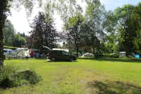 Campingplatz Alte Löweninsel - Zeltplätze auf der Wiese