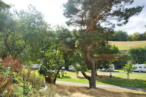 Camping Alte Muehle - Standplatz - 3.jpg