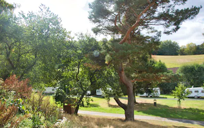 Campingplatz Alte Mühle