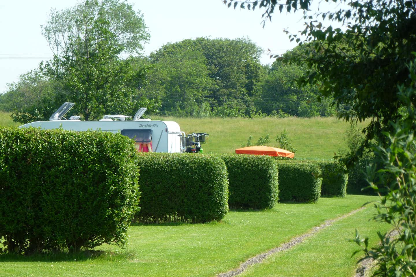 Campingplatz am alten Seedeich - Wohnmobil- und  Wohnwagenstellplätze im Grünen