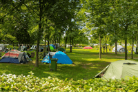 Campingplatz am Badesee Coswig-Kötitz - Zeltplätze im Schatten der Bäume auf dem Campingplatz