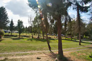Campingplatz mit Rasenfläche und Baumreihe, im Hintergrund Wohnwagen und Stellplätze entlang eines Weges.