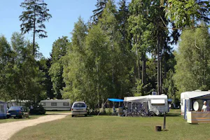 Campingplatz am Drewensee - Wohnwagenstellplatz und Wohnmobilstellplatz auf einer Wiese vom Campingplatz zwischen Bäumen