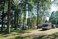 Campingplatz am Drewensee  -  Wohnwagenstellplatz vom Campingplatz zwischen Bäumen mit Blick auf den See
