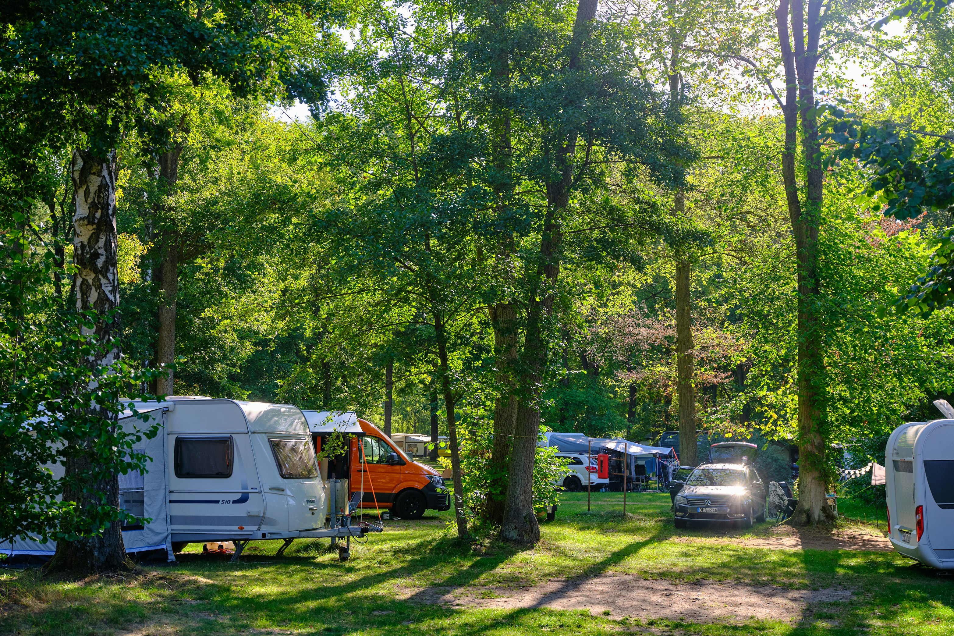 Stellplätze im Grünen mit Wohnwagen und Campingfahrzeugen zwischen hohen Bäumen, gepflasterter Weg und Rasenfläche.