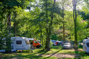 Stellplätze im Grünen mit Wohnwagen und Campingfahrzeugen zwischen hohen Bäumen, gepflasterter Weg und Rasenfläche.