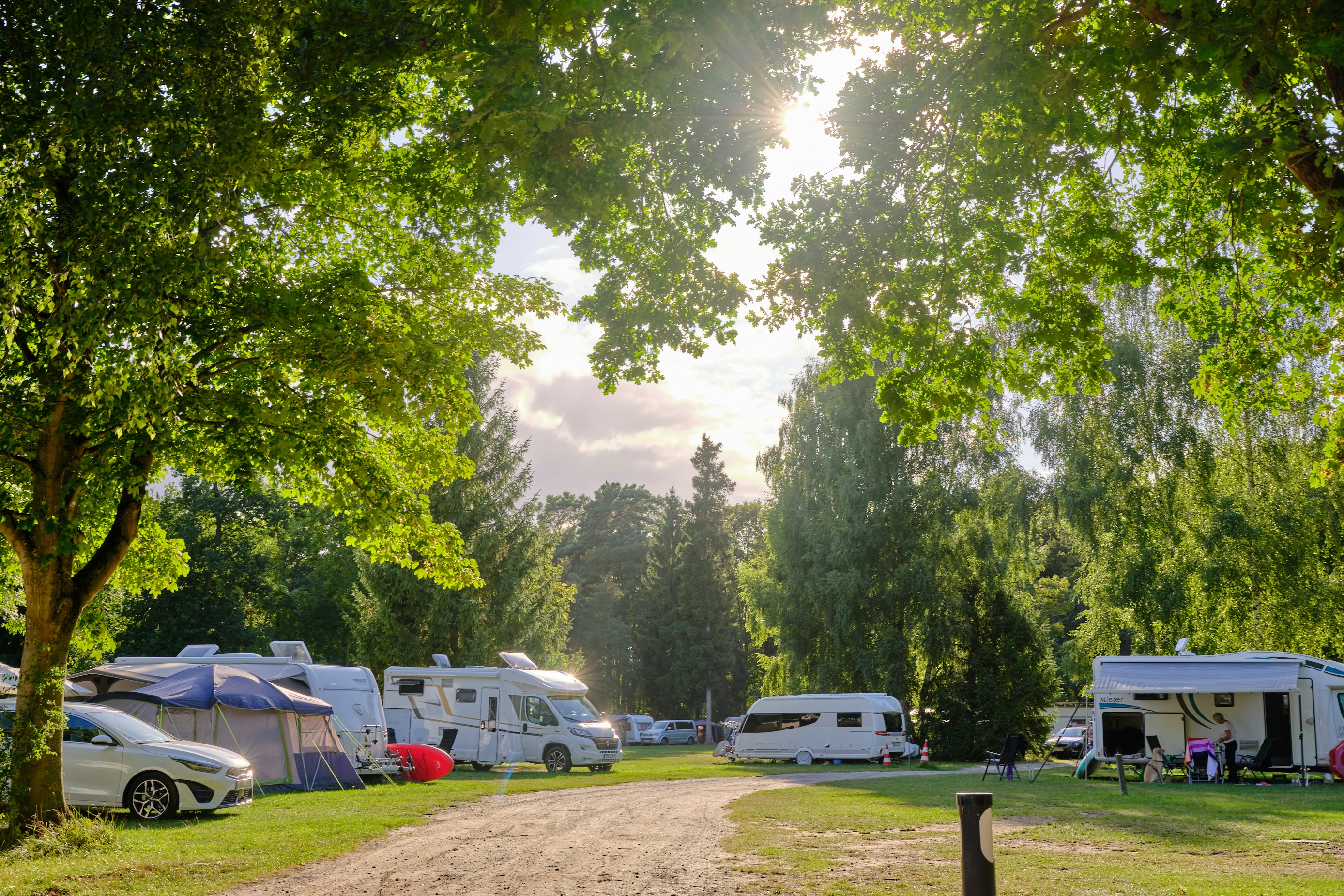 Campingplatz mit Wohnmobilen und Zelten auf einer Rasenfläche, schattige Bäume und ein breiter Weg zwischen den Stellplätzen.
