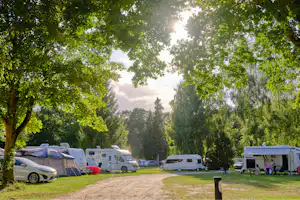 Campingplatz mit Wohnmobilen und Zelten auf einer Rasenfläche, schattige Bäume und ein breiter Weg zwischen den Stellplätzen.