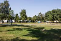 Campingplatz Am Furlbach - Zeltplatzwiese vor den Stellplätzen für Autos, Wohnmobile und Wohnwagen
