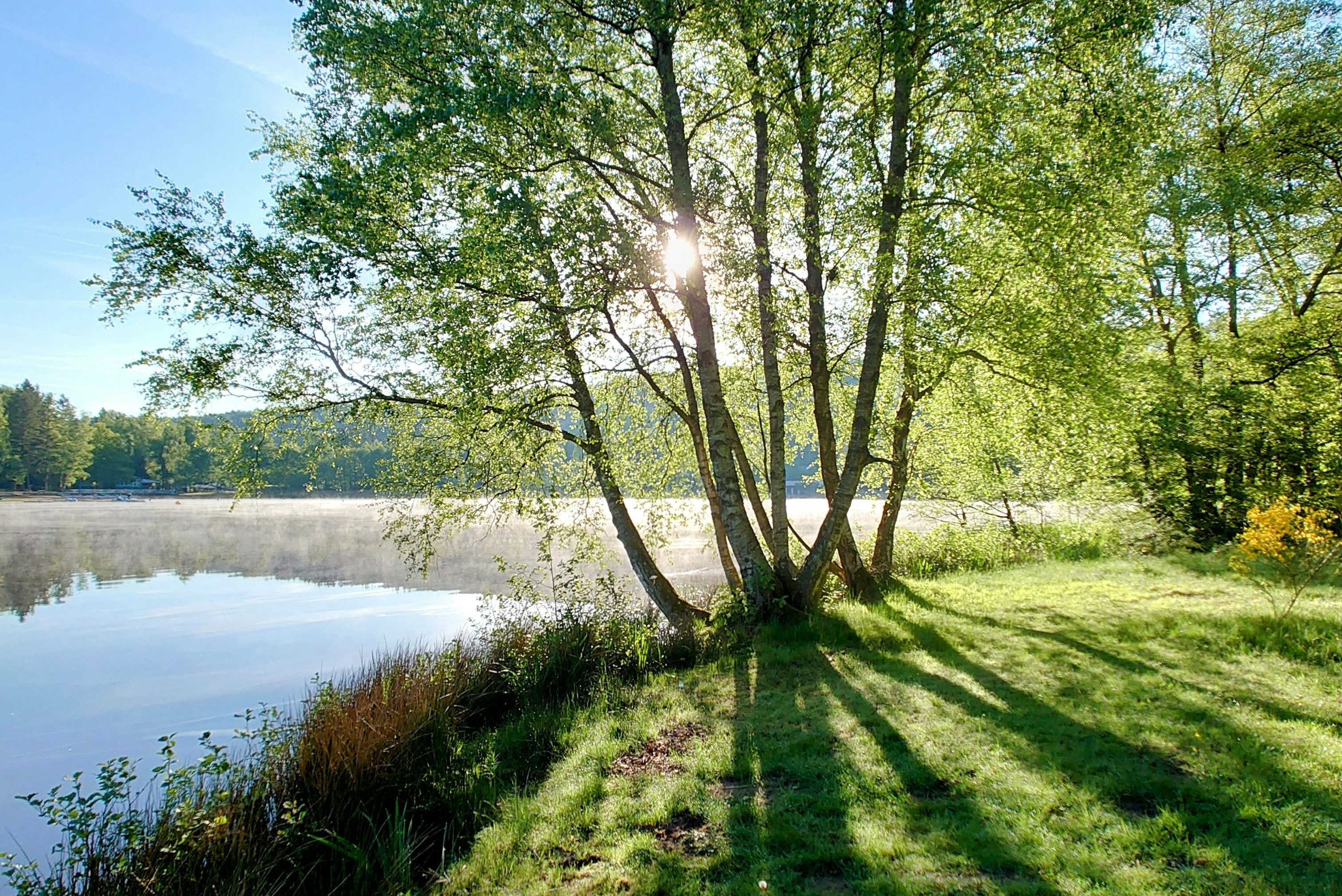 Campingplatz am Gelterswoog - Blick auf das Ufer des Sees
