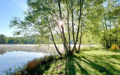 Campingplatz am Gelterswoog