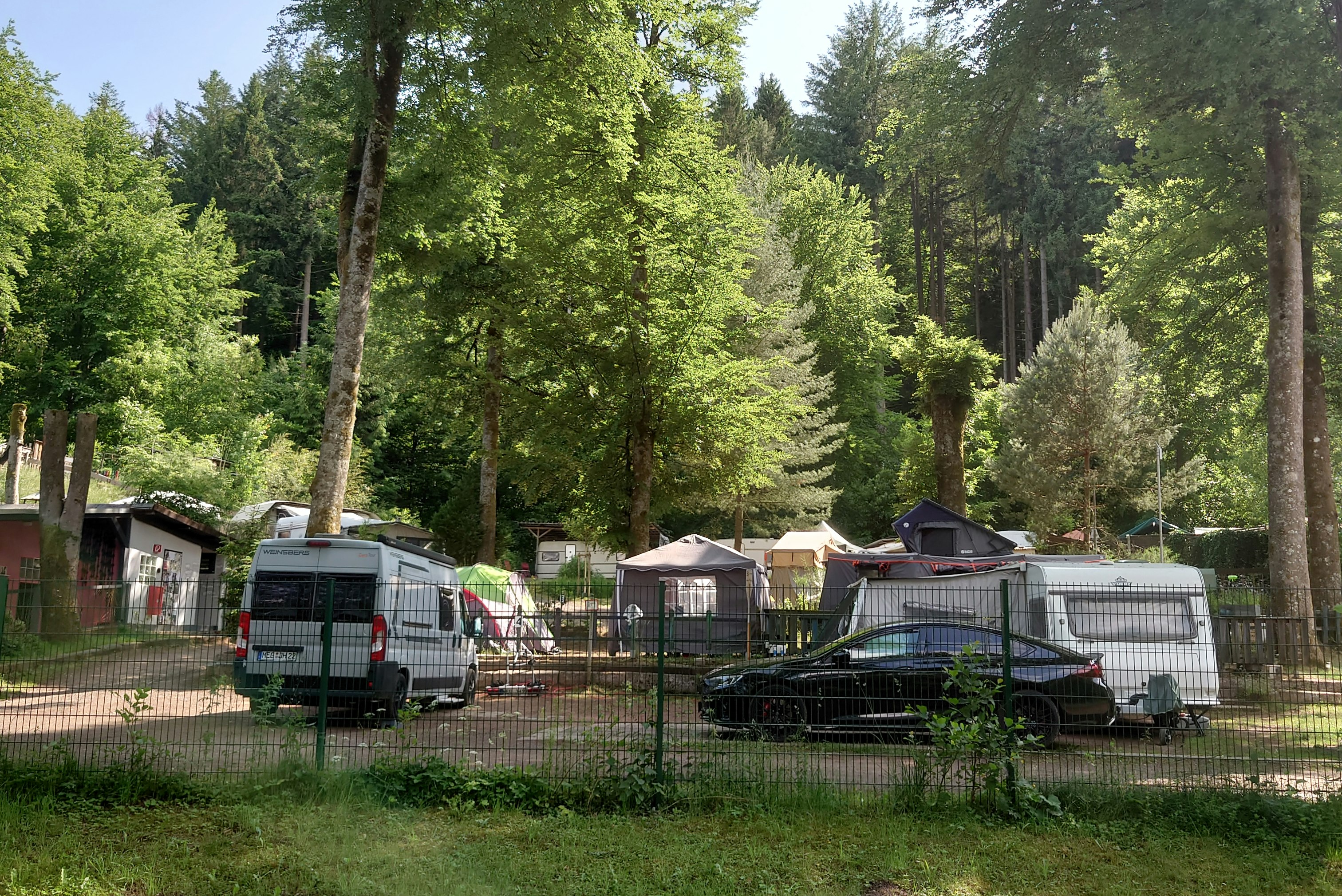 Campingplatz am Gelterswoog - Standplätze auf dem Campingplatz
