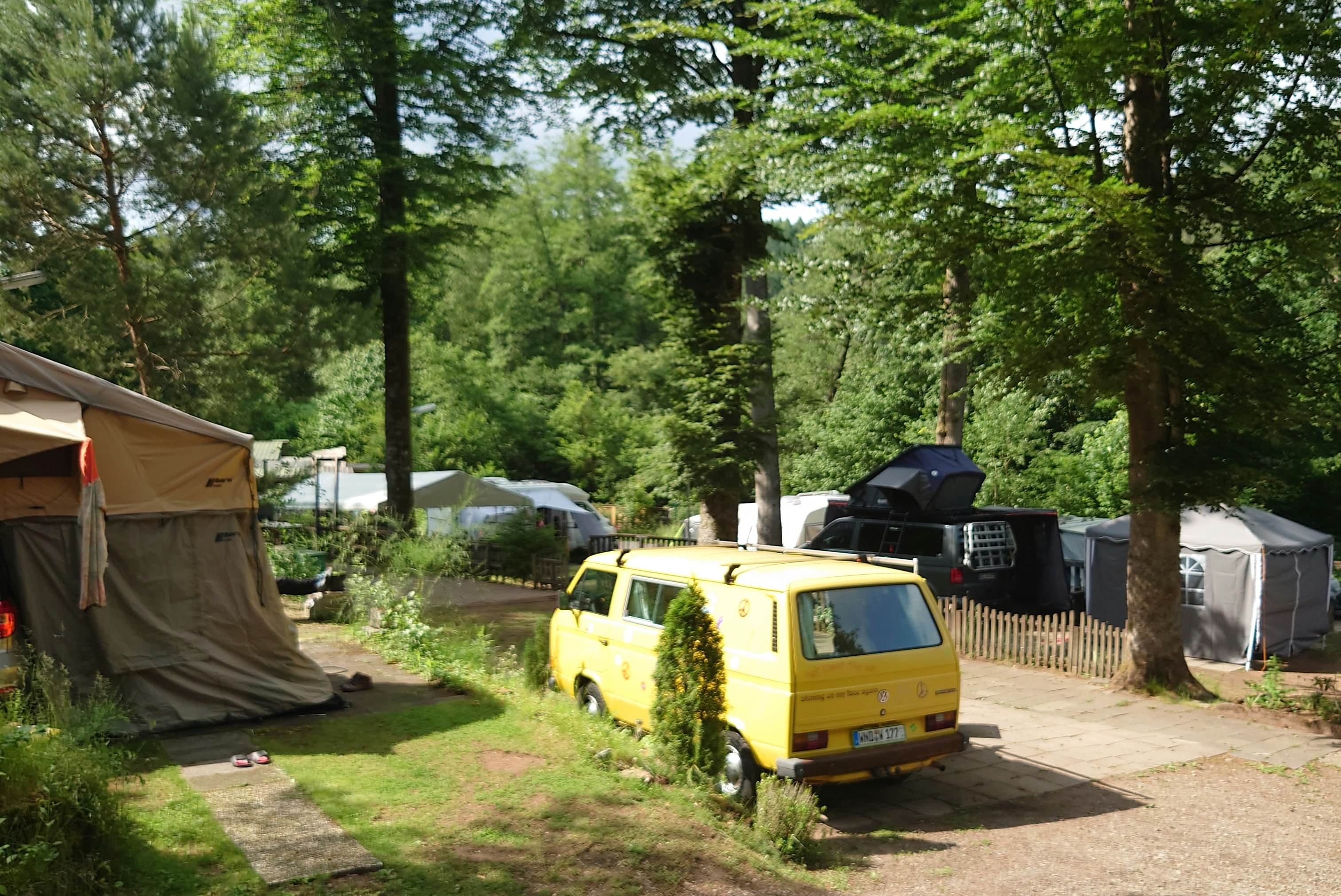 Campingplatz am Gelterswoog - Standplätze auf dem Campingplatz