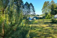 Campingplatz am Grossen Wentowsee - Blick auf die Zeltwiese