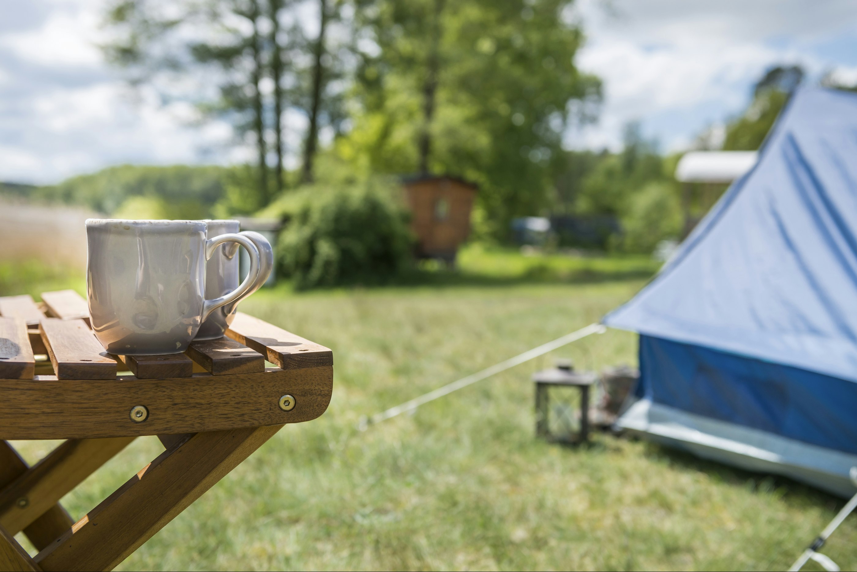 Campingplatz am Großen Wentowsee - Zeltwiese auf dem Campingplatz