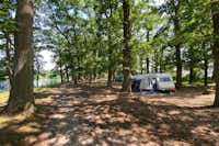 Campingplatz -Am Kamernschen See- - Standplätze im Schatten der Bäume
