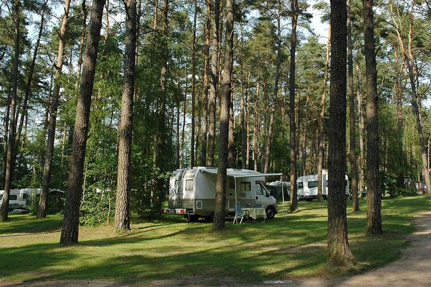 Campingplatz am Leppinsee  -  Wohnwagen- und Zeltstellplatz vom Campingplatz zwischen Bäumen