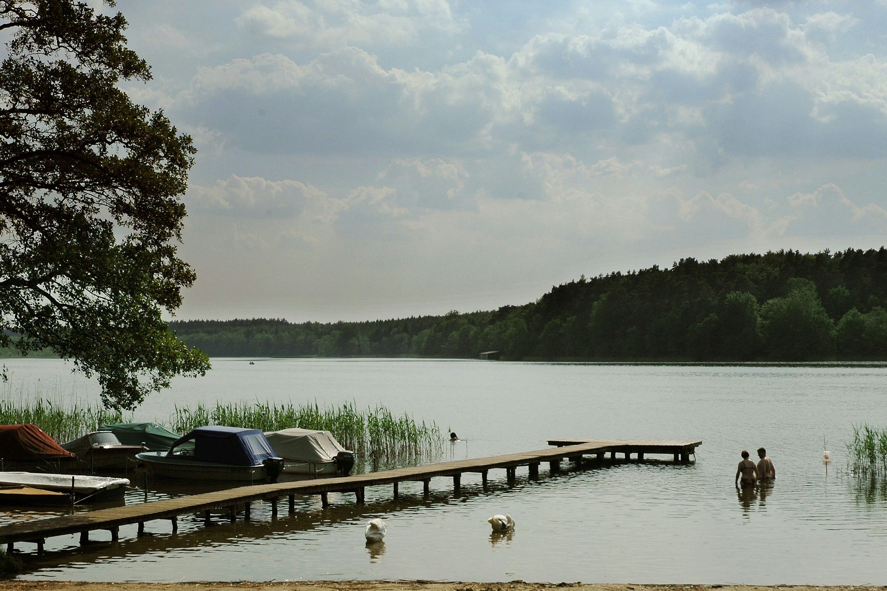 Campingplatz am Leppinsee - Steg und Boote aufs Wasser