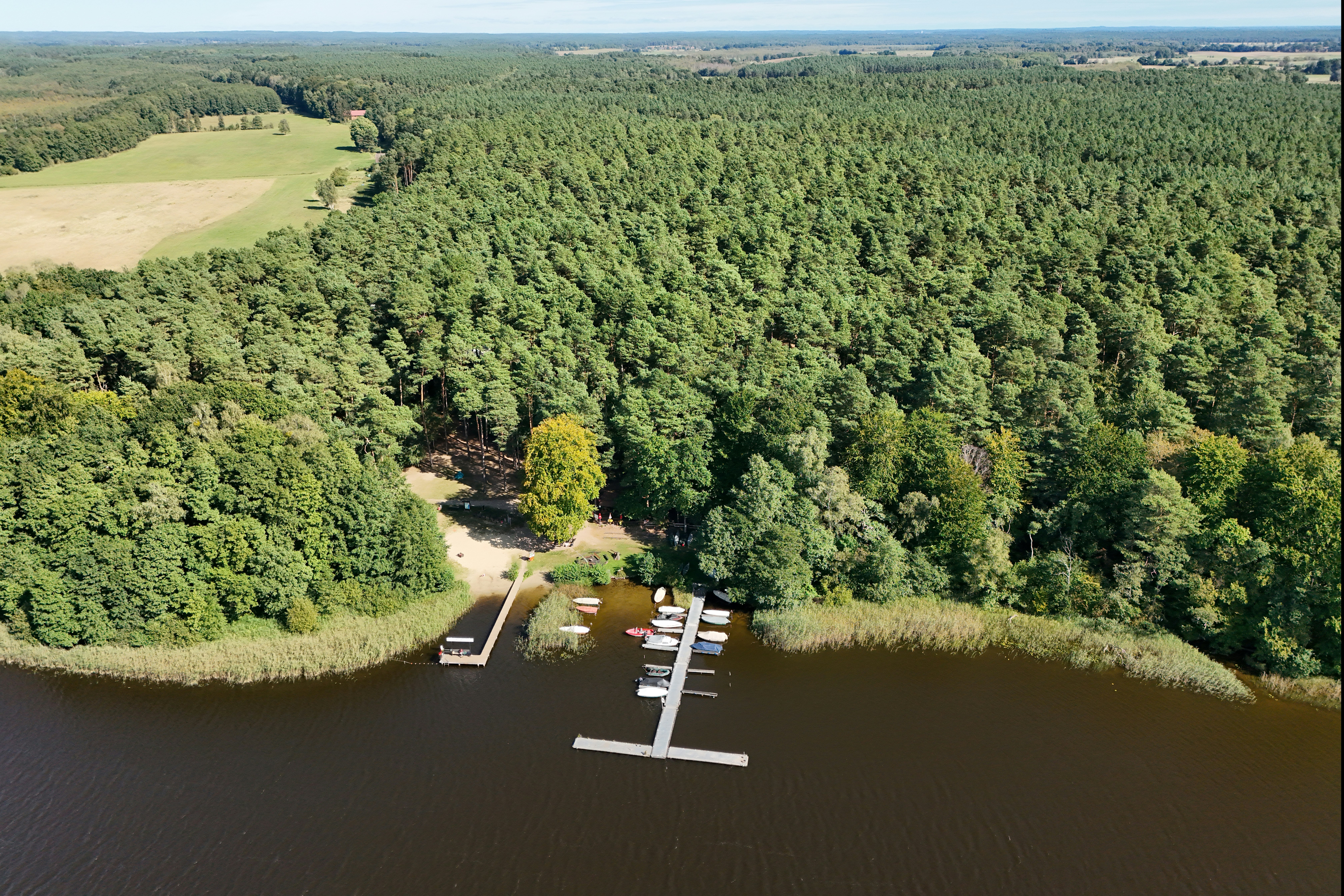 Holzstege im Fluss vor einem Waldgebiet, daneben Wiesen und ein kleiner Weg am Ufer.