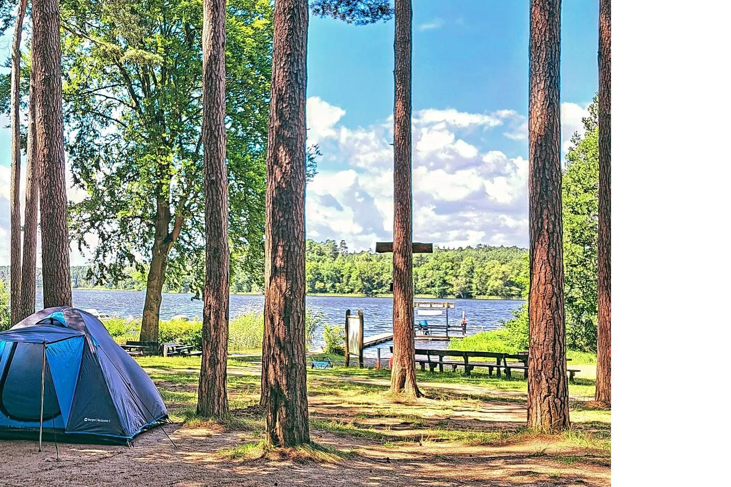 Zelt auf einem Campingplatz am See, umgeben von hohen Bäumen, mit Blick auf Steg und Wasser.