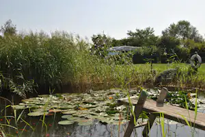 Holzsteg am Teich mit Seerosen, daneben Gartenmöbel und Sonnenschirm, im Hintergrund Schilf und Bäume.