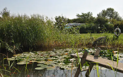 Camping Bei Berlin Am Mahlower See