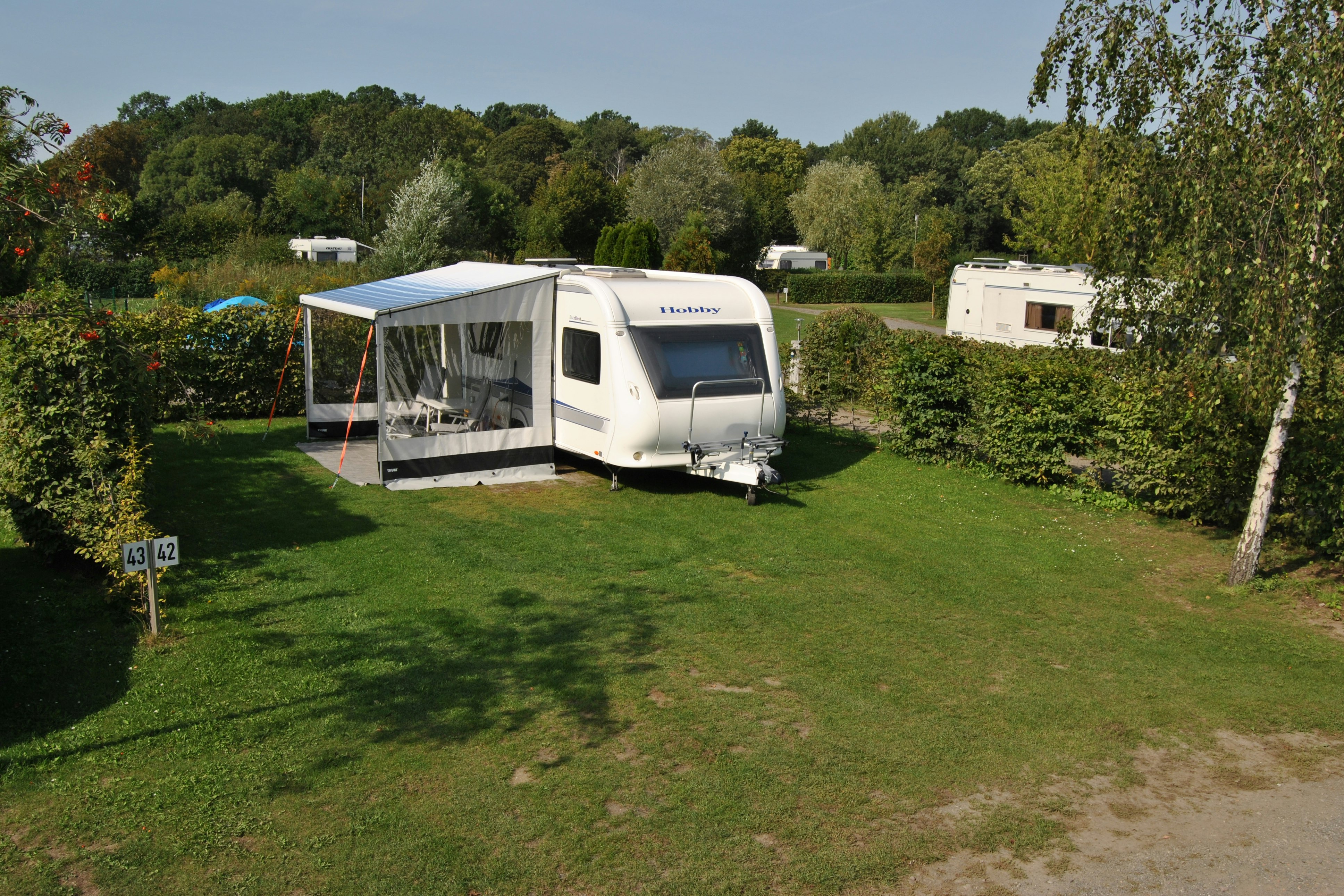 Wohnmobil mit Vorzelt auf einem grünen Campingplatz, umgeben von Bäumen und Hecken, mit Stellplatzfläche aus Gras.
