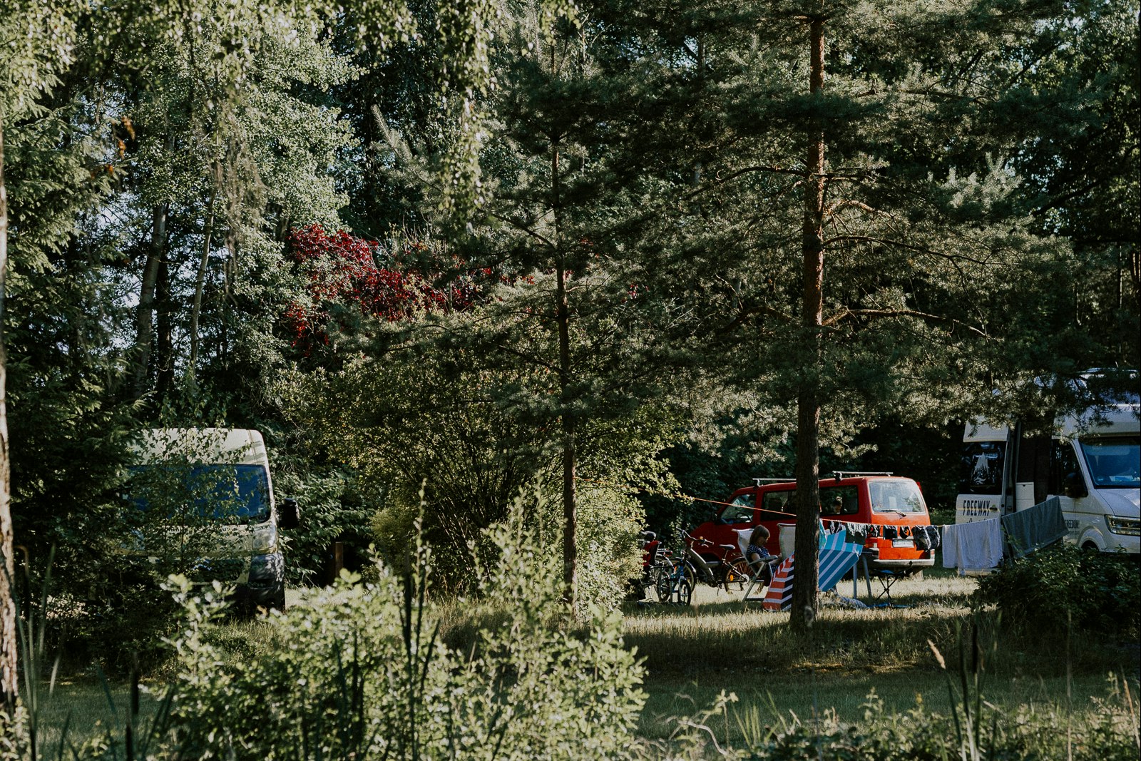 Campingplatz Am Örtzetal - Standplätze auf einer Waldlichtung