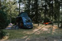 Campingplatz Am Örtzetal - Standplatz umgeben von Bäumen