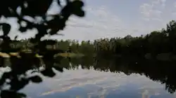 Wildwood Camping Lüneburger Heide