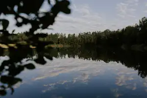 Ruhiger Campingsee mit Spiegelung des Waldes im Wasser, im Vordergrund Blätter am Ufer.