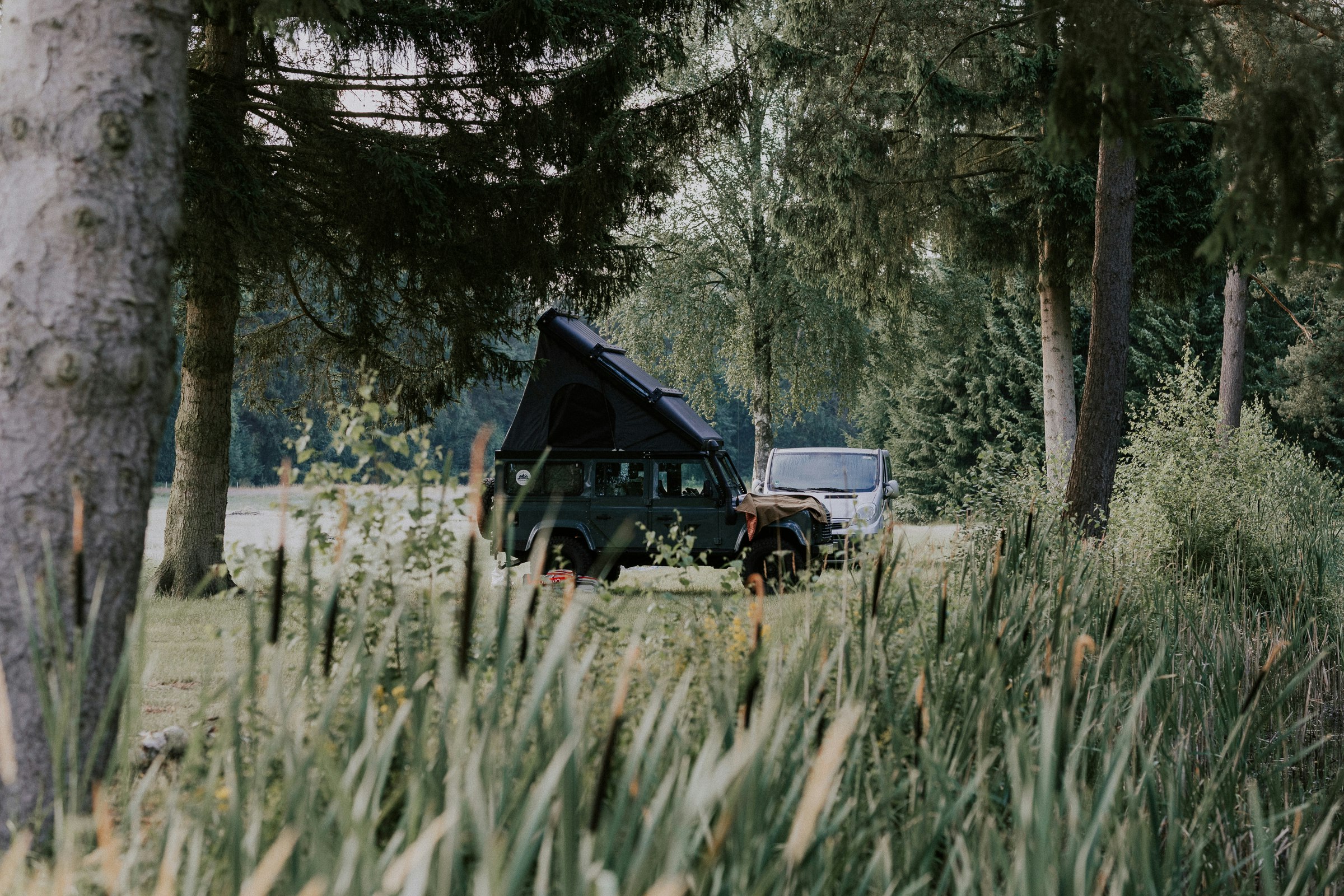Wildwood Camping Lüneburger Heide - Standplatz unter Nadelbäumen im Grünen