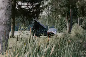 Wildwood Camping Lüneburger Heide - Standplatz unter Nadelbäumen im Grünen