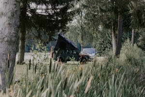 Wildwood Camping Lüneburger Heide - Standplatz unter Nadelbäumen im Grünen