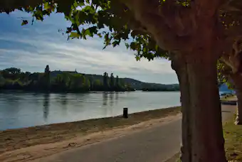 Campingplatz am Rhein