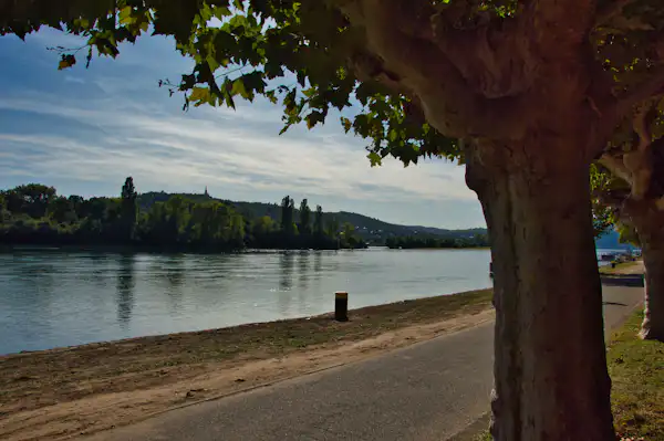 Campingplatz am Rhein