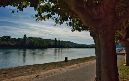Campingplatz am Rhein