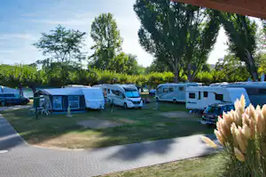 Camping am Rhein - Standplatz - 1.jpg