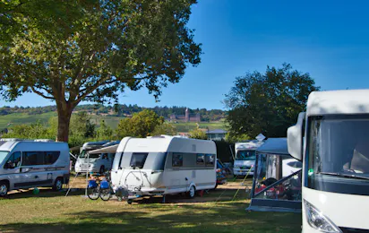 Campingplatz am Rhein