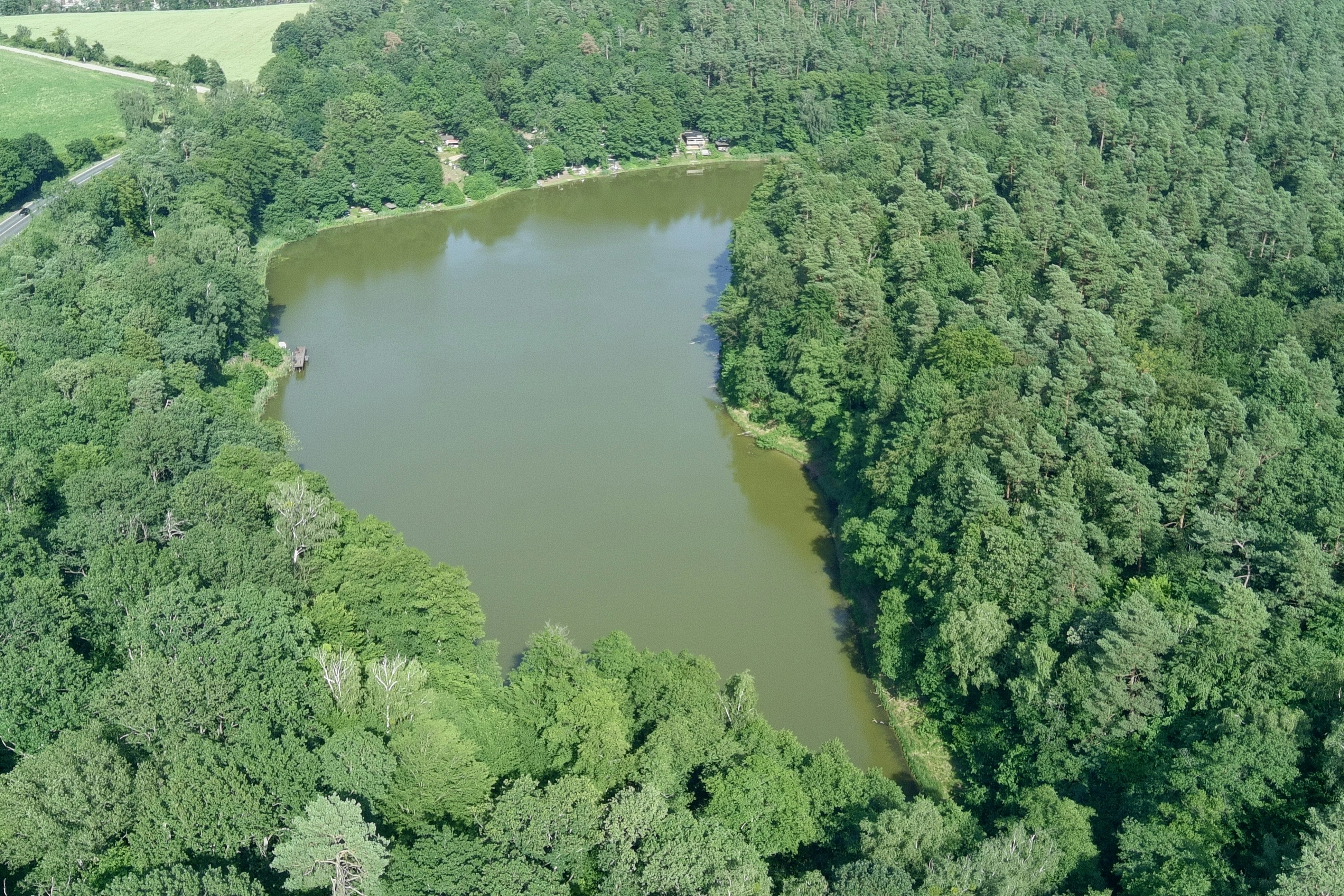 Campingplatz am Sassenpfuhl e.V.  - Luftaufnahme des Sees umgeben von Wald
