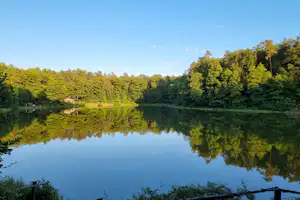 Campingplatz am Sassenpfuhl e.V. - Blick auf den See umgeben von Wald