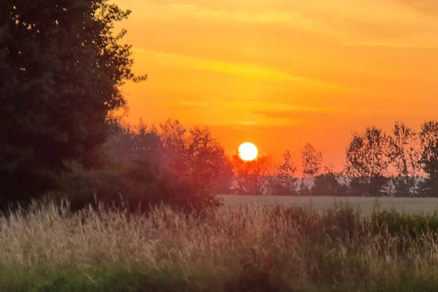Campingplatz am Sassenpfuhl e.V. - Sonnenuntergang über dem Campingplatz