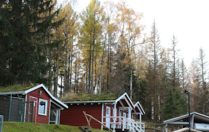 Harz Mountain Camp am Schierker Stern