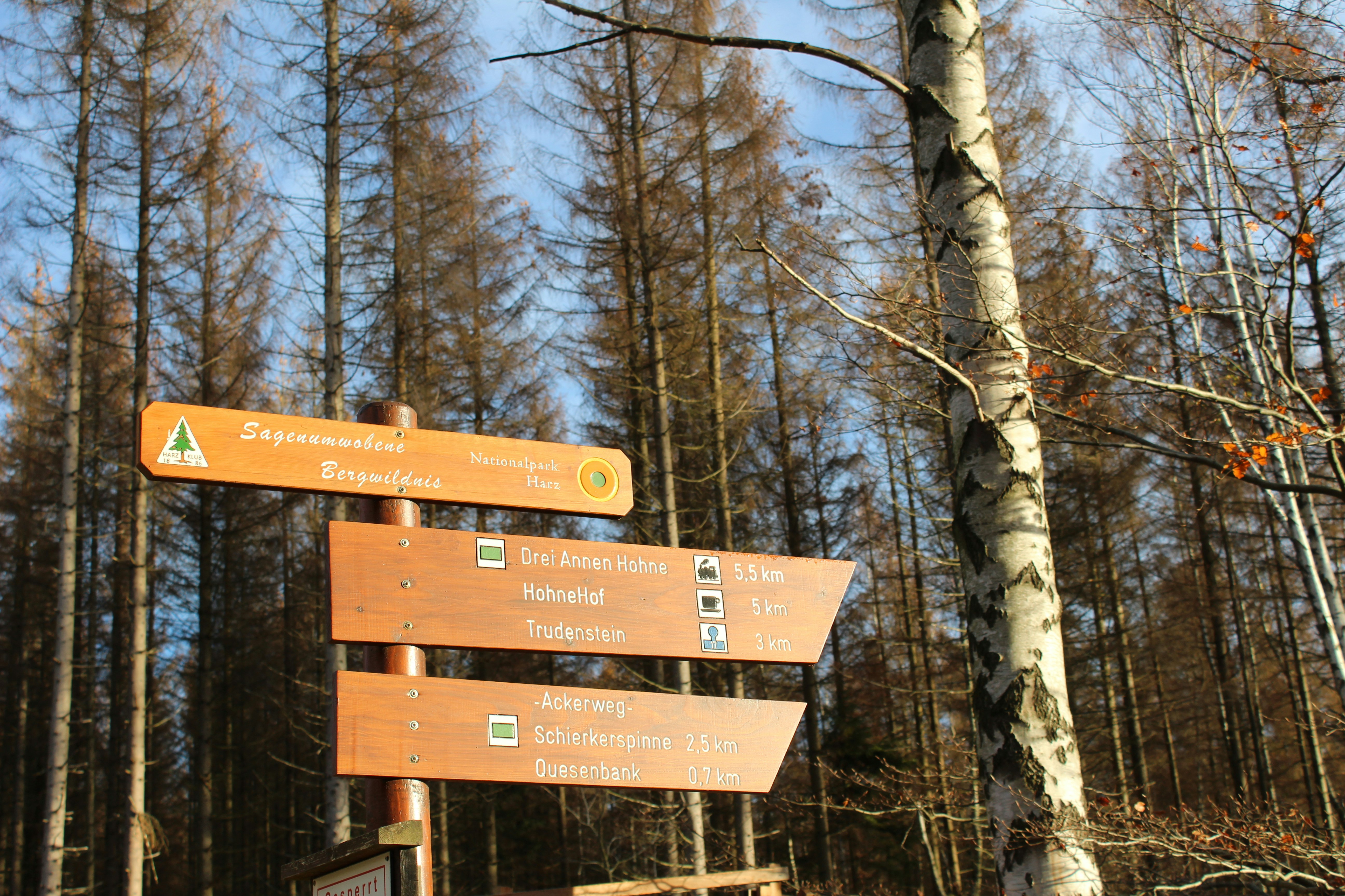 Campingplatz Am Schierker Stern - Wegweiser zu Wanderwegen in der Umgebung des Campingplatzes