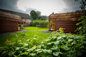 Campingplatz am Siebengebirge - Chalet-mit-Veranda--zwischen-den-Baeumen-auf-dem-Campingplatz