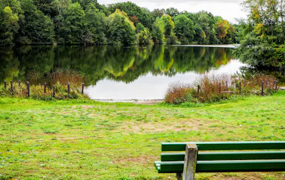 Campingplatz am Steinrodsee