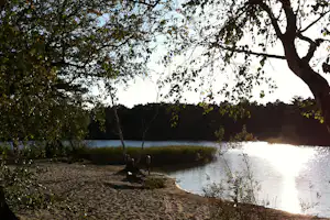 Seeufer mit Kiesstrand, Bäumen und Gras am Rand, Sonnenlicht spiegelt sich auf dem Wasser.