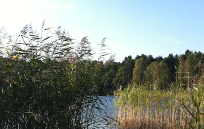 Dürings Campingplatz Am Tonsee